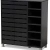 Design Studios Hirley Modern And Contemporary 2-Door Shoe Storage Cabinet Home -Shop Style Sales 3050322642 RLLD 1
