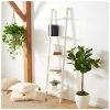 Safavieh Allaire 76in 5-Tier Leaning Etagere Home -Shop Style Sales 3050707027 RLLD 1