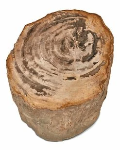 Urbia Top Polished Stump Home 7 Urbia Top Polished Stump Home -Shop Style Sales 3050891956 RLLD 3