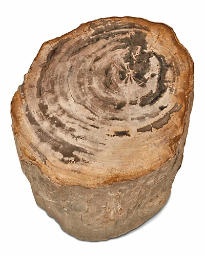 Urbia Top Polished Stump Home 5 Urbia Top Polished Stump Home - Image 3